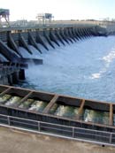 Columbia River dams are designed to produce electricity and general involve lifts of 100 feet or so. Fish ladders alongside the lock allow salmon and other fish, eels, etc. to safely travers the dams.